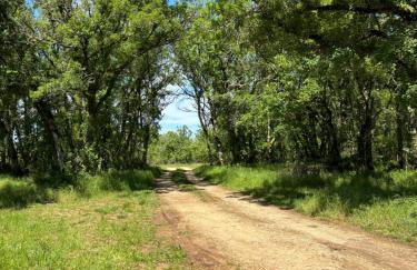 Gîte du Pexas - Foto 17