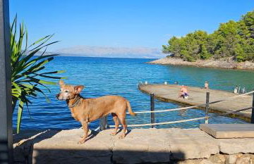 Hvar Stone Villa with pool - Foto 72