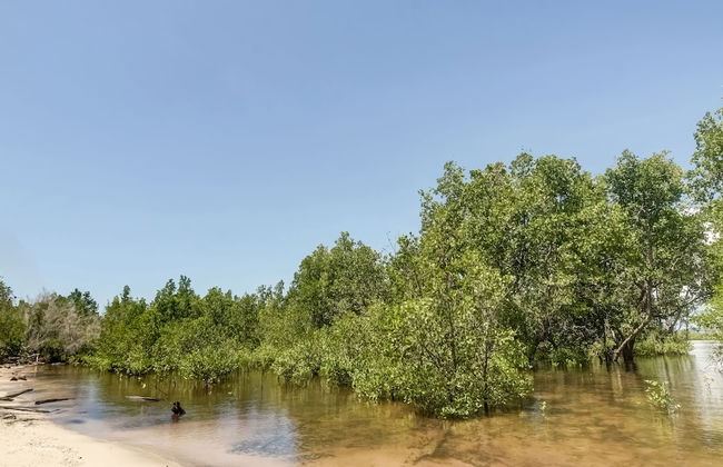 OYO Homes 91148 Homesstay Desa Wisata Bahoi Near Ekowisata Mangrove Desa Bahoi - Photo 29