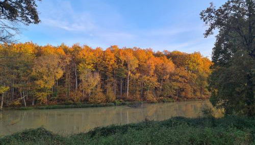 Domaine des Aulnaies - Beauval - Mareuil sur Cher - Photo 3