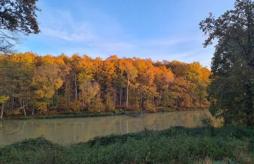 Domaine des Aulnaies - Beauval - Mareuil sur Cher - Foto 3
