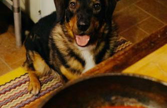 Il Pezzatino - Foto 38