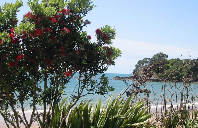 By the Bay Beachfront Apartments - Foto 63