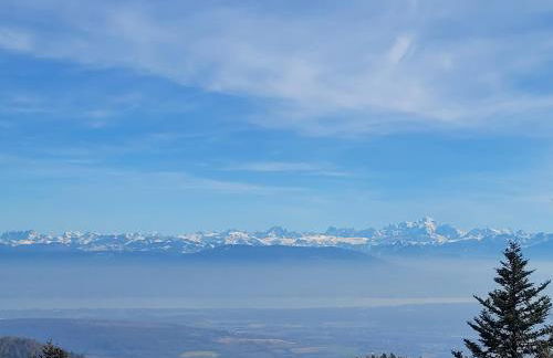 Appartement T3 60m2 calme - Foto 26