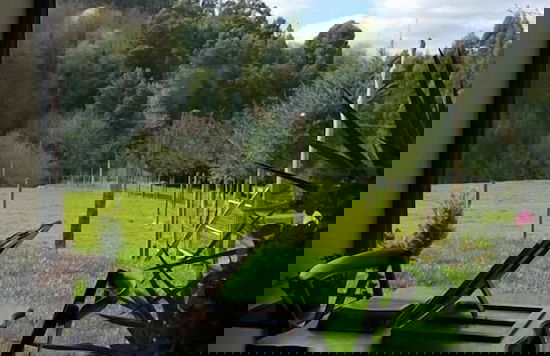 A Casa de Mañas - Foto 25