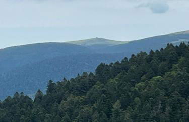 Comme chez Soi - Foto 11