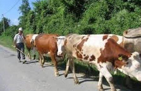 Nike house - Foto 41