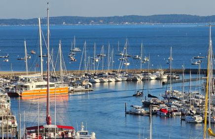 Vue Panoramique sur Bassin,Piscine et terrasse - Foto 9