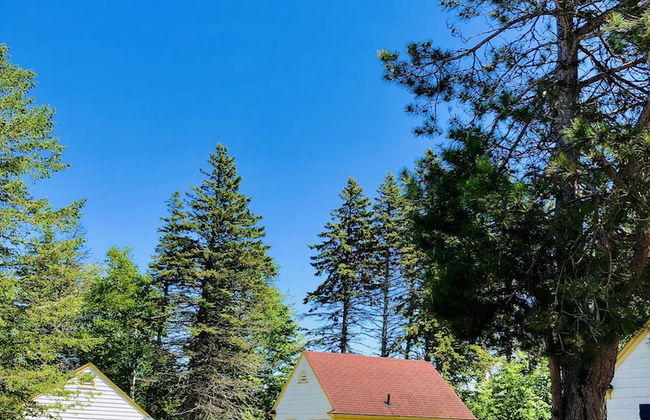 Green Gables Bungalow Court - Photo 80