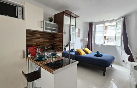 Studio très joli rénové quartier Notre-Dame Jardin des Plantes Panthéon près de la Seine - Foto 14