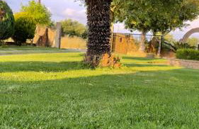 Mama’s Sunshine Garden Villa - Photo 28