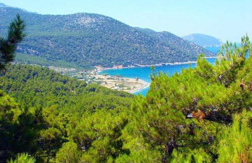 Laurel LK Houses in Kritinia Rhodes - Foto 30