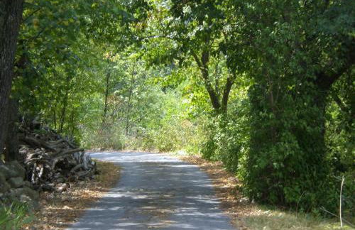 Agriturismo Villa Cheti - Foto 86