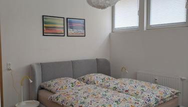 Ferienwohnungen am Tollensesee - Foto 3