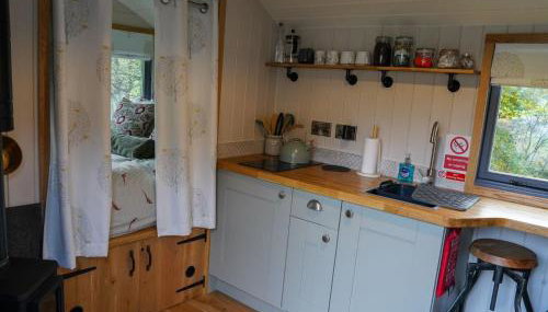 Shepherds hut, Eco, Log burner Hot tub NY moors - Foto 4