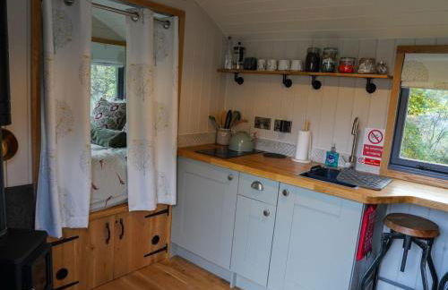 Shepherds hut, Eco, Log burner Hot tub NY moors - Foto 4