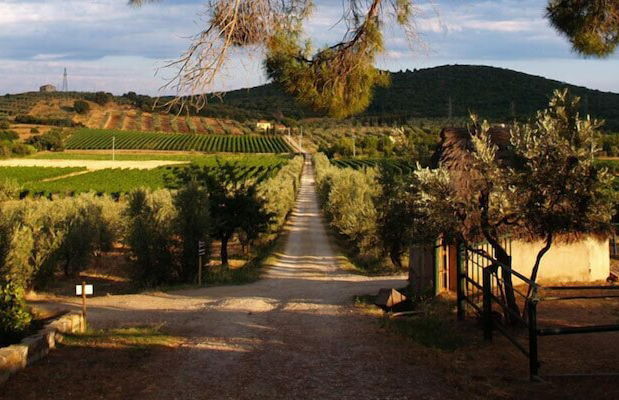 Bulichella - Foto 50