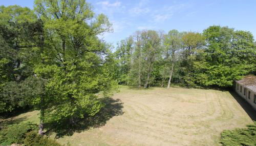 Schloß Wichmannsdorf - Foto 3