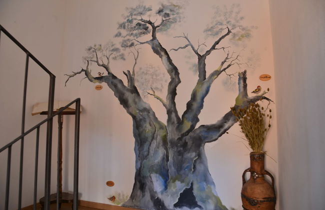 Agriturismo Monaci Templari - Photo 33