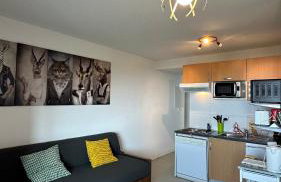 Appartements du Pic d'Anie - Foto 24