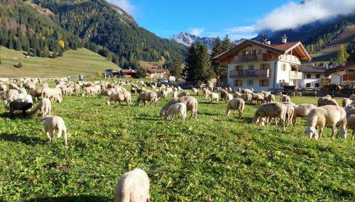 Ciasa Rasom - Foto 5