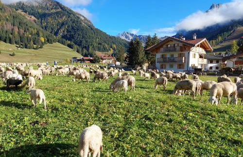 Ciasa Rasom - Foto 5