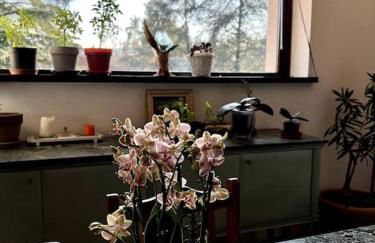 Apartment in Villa La Carruba - Photo 32