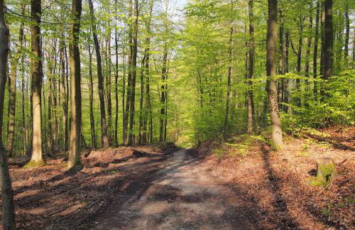 Ferienwohnung Eggeblick - Foto 32