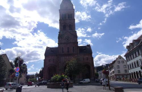 l'ecureuil - Foto 18