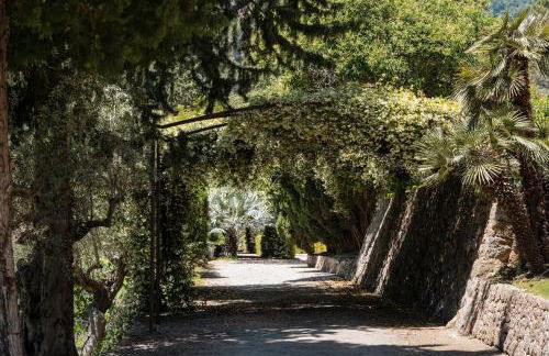 Alfabia Nou Agroturismo - Foto 6