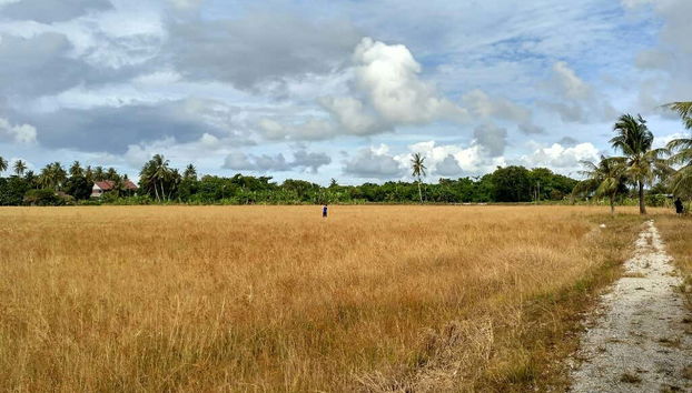 Explorez les environs de George Town