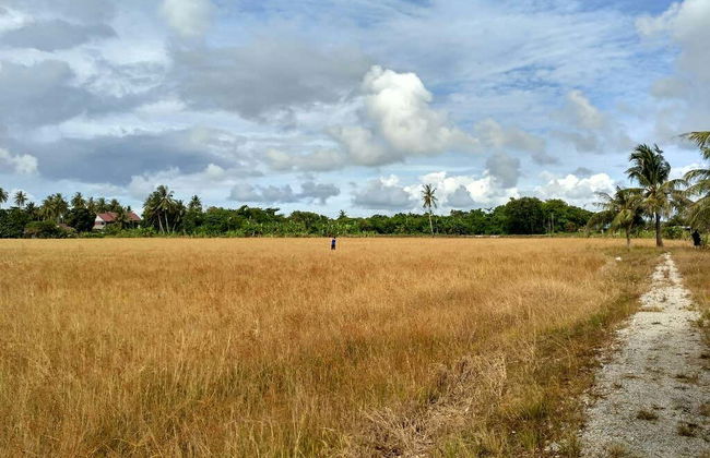 Visite à vélo dans Penang - Photo 3