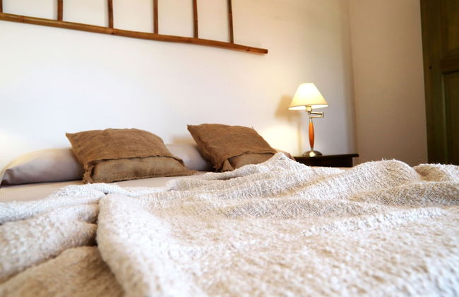 Azienda Agricola Francesca Stajano - Foto 11