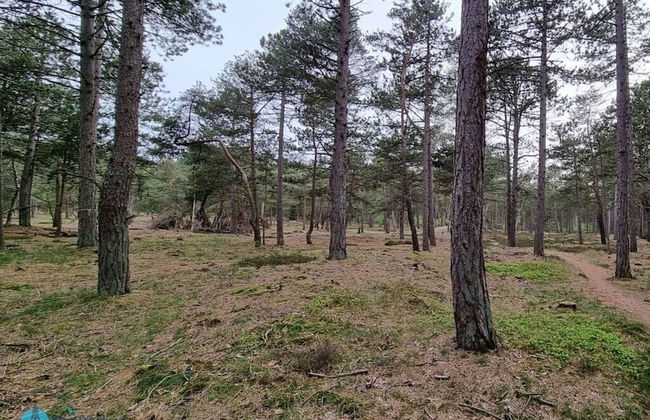 Heidhohn Comfortable Holiday Residence - Foto 21