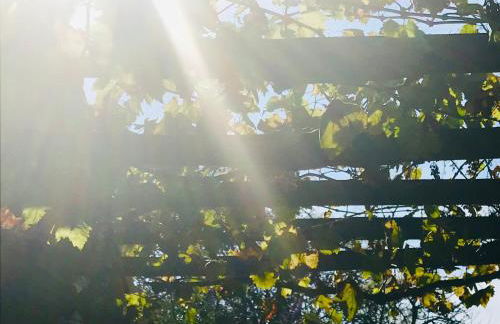 La Blatière French Cottages - Foto 58