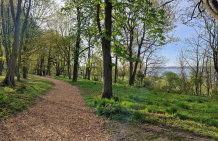 Ferienhaus Seestern - Foto 18