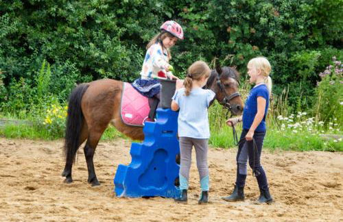 Meislahnhof Fehmarn - Foto 77