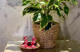 Wehostcostaluz Le Petit Palace Catedral con parking gratuito - Foto 66