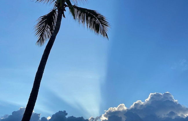 2 Minute Walk to Beach 1bdrm Condo with Pool - Foto 60