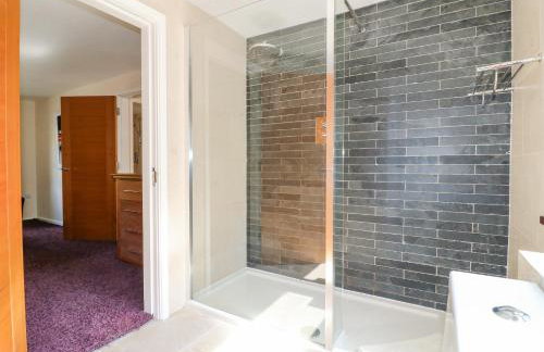 The Lillies - Foto 17