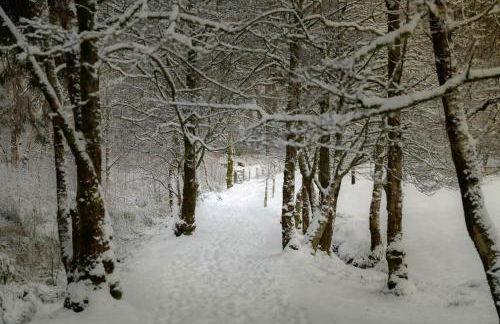 The Smiddy - Foto 31