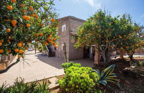 Sa Volta Nova - Foto 28