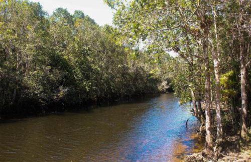 Casa Enorme para 12 pessoas, 4 suites e um fundo com 18mil metros de mata e um pier no rio que sai para o mar-Internet 100MB - Photo 16