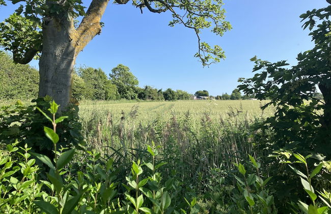 Luxury Glamping Pod With Hot Tub, fee Applies - Photo 6