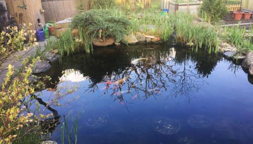 Ferienwohnung Fam.Stecher - Foto 5