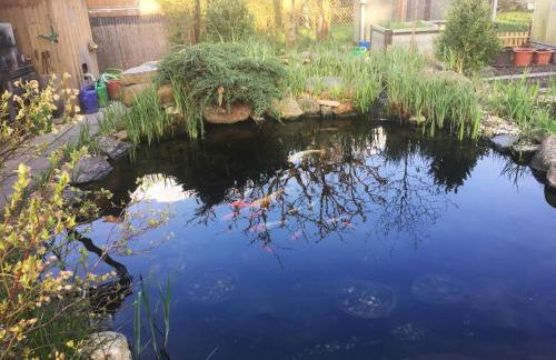 Ferienwohnung Fam.Stecher - Foto 5