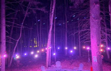 Deer Trails Retreat -Pocono Getaway Near Kalahari - Foto 37