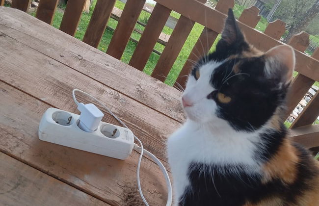 Room in Guest Room - Cozy Rural Retreat in Roşia Montana - Photo 64