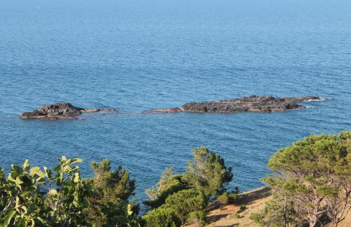 appartement vue mer el farniente - Foto 31