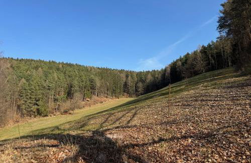 Auszeit im Wald - mit Schwimmbad! - Foto 38